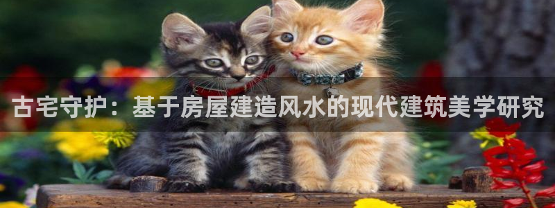 威九国际后爸:古宅守护:基于房屋建造风水的现代建筑美学研究